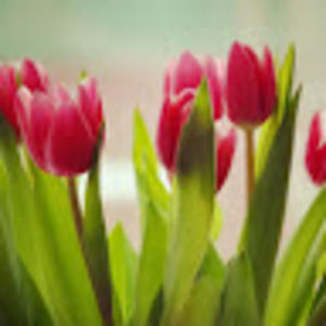 Meet your Posher, May